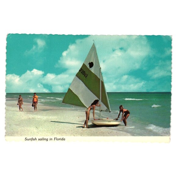 Vintage Florida Sunfish Sailing Postcard Beach Core Vacation Tourist Ocean Boat - Picture 1 of 2